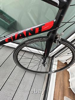 Giant Rapid Road Bike Road Bicycle Shimano Claris Adult Large