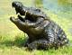 Snappy Lifelike Half-crocodile Garden Sculpture Aluminium Outdoor Ornament