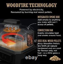 Gril et fumoir électrique extérieur Ninja Woodfire Pro XL OG850UK